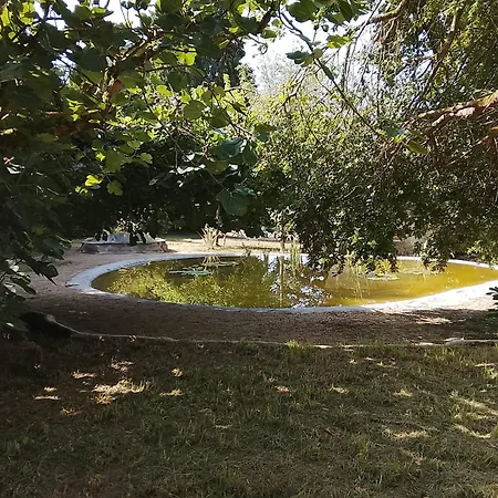 Vida De Aldea * Aguiar
