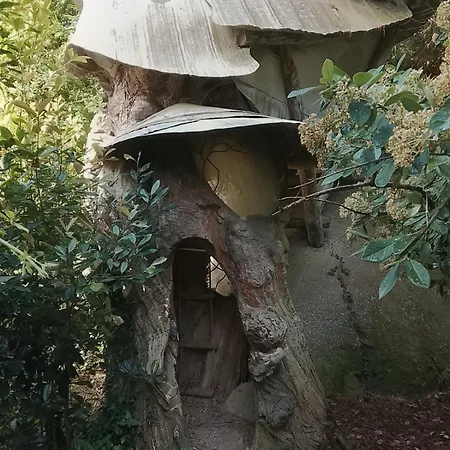 Vida De Aldea * Aguiar