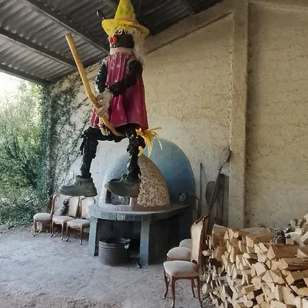 Vida De Aldea